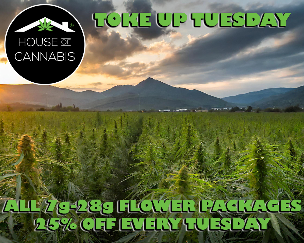 25% off all 7g - 28g packages of flower every Tuesday!
